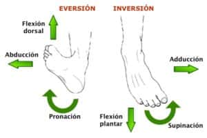 Movimientos del pie